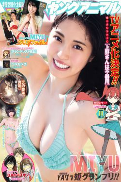 野战排